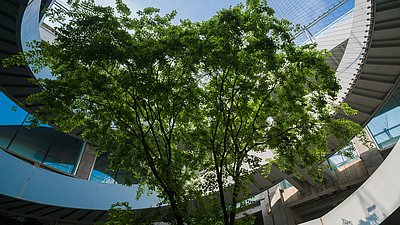 Chancen der Kreislaufwirtschaft: Wie Führungskräfte diese erkennen und nutzen