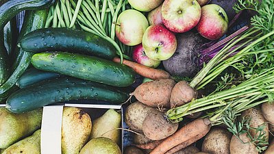 Schweizer Landwirtschaftsbetriebe agieren nachhaltig