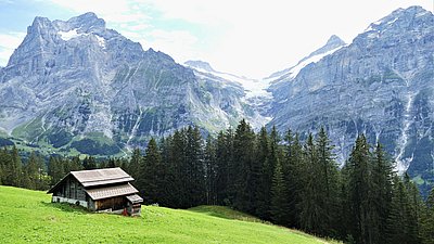 Entwicklung, Herausforderungen und Zinsprognose