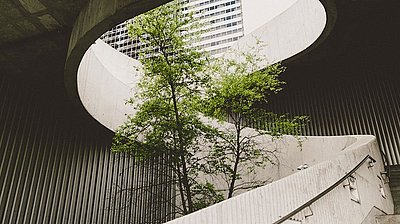 Nachhaltigkeit: Wegweiser für die strategische Einordnung und Berichterstattung