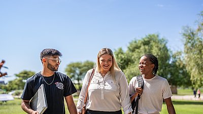 Wenn sich Ideale und die Realität beissen