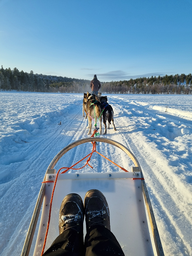 Neben dem Studium auch das Land und die Kultur kennenlernen: Oliver auf einem Ausflug auf dem Hundeschlitten. (Foto: ZVG)